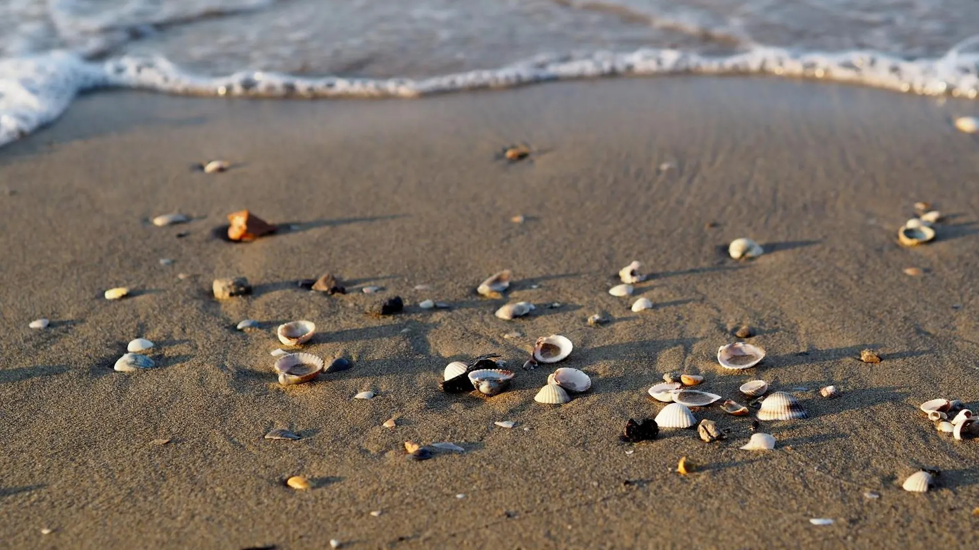 Apartment Cozy Flat Next To The Beach - Beahost Rentals Bibione Italy